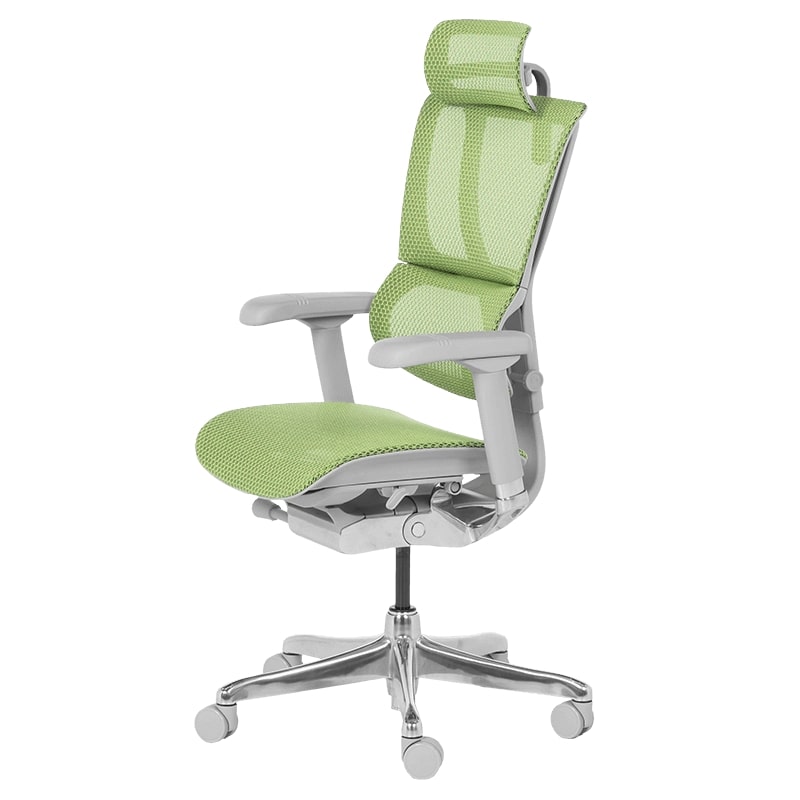 Ергономичен стол IOO Elite 2 сива рамка-зелен